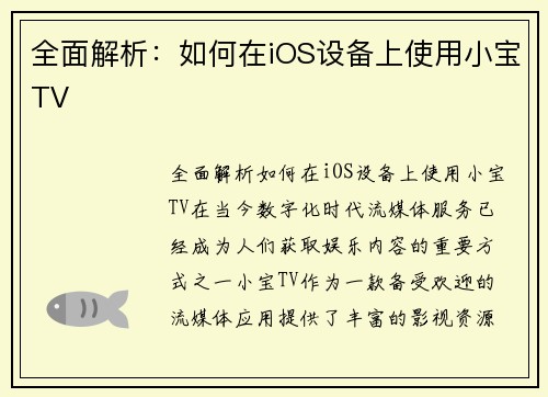 全面解析：如何在iOS设备上使用小宝TV